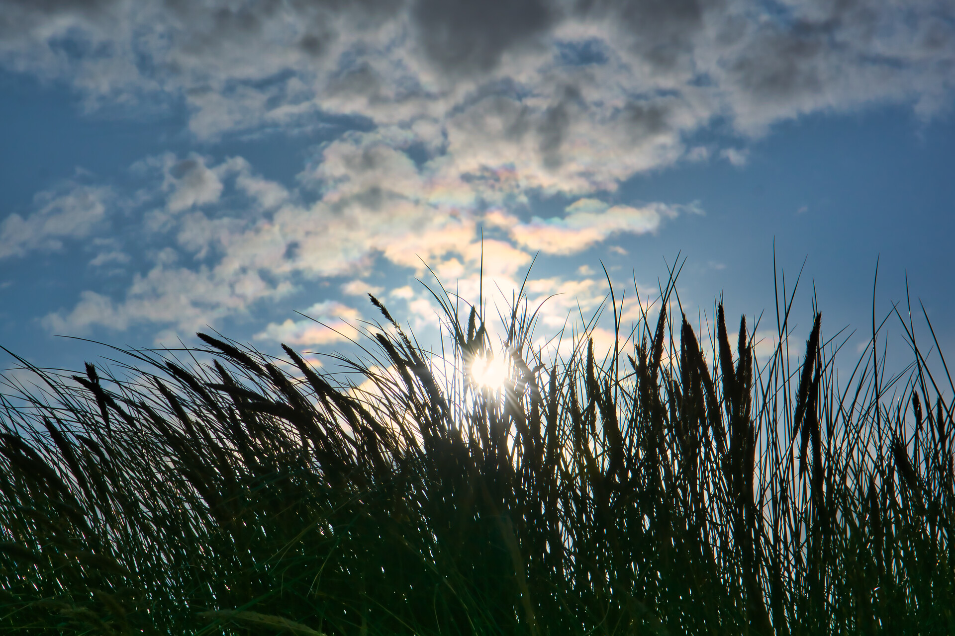 Wattenmeer Norddeich