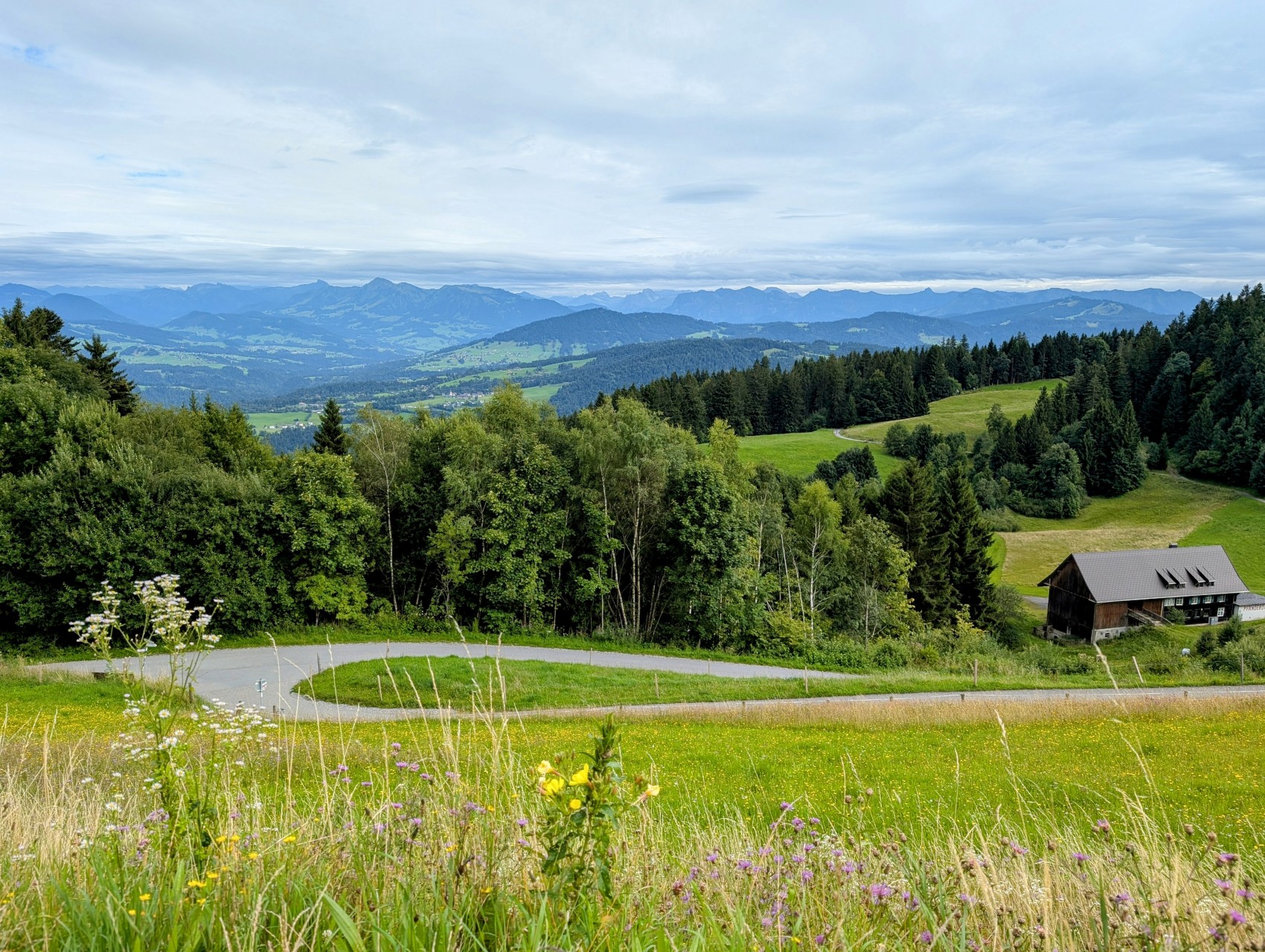Bergpanorama Pfänder